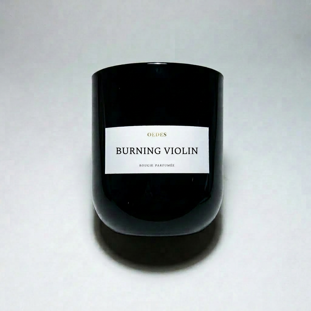 BURNING VIOLIN